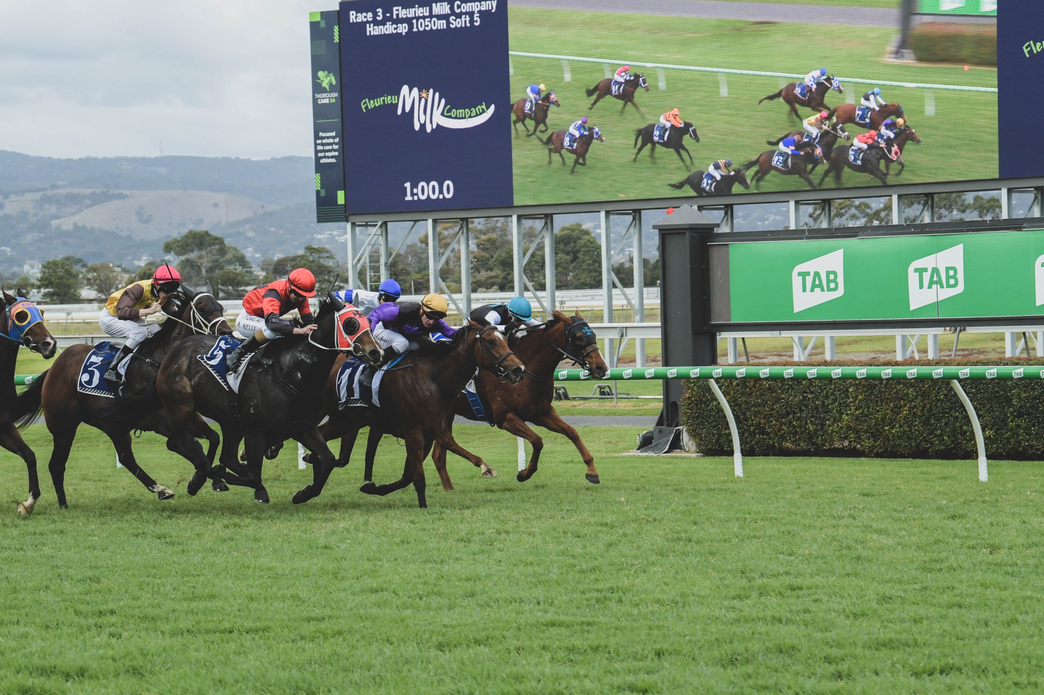 Australian horseracing The country’s best racetracks