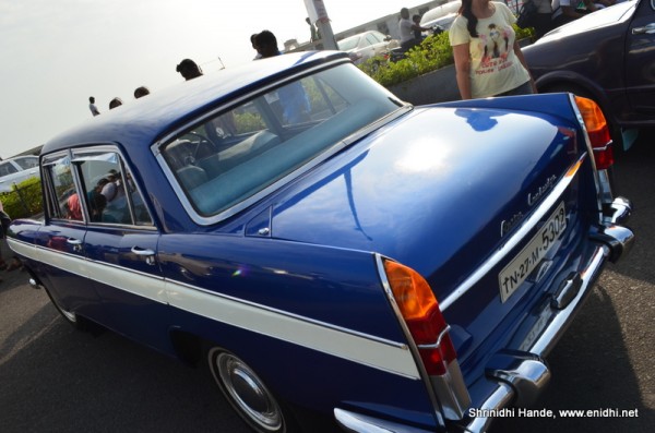 austin cambridge rear left