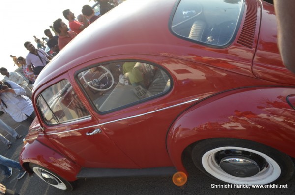 beetle side profile