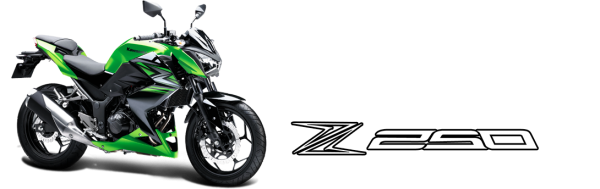 Kawasaki Z250